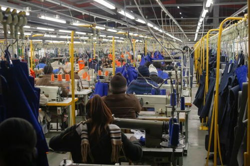 越南疫情擾動下的供應鏈挑戰與應對